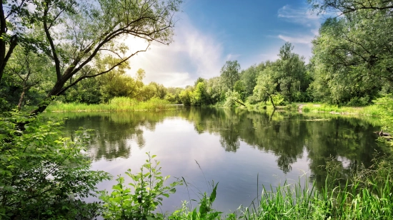 Sound and frequency for meditation and restful sleep